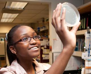 Student looks at petri dish