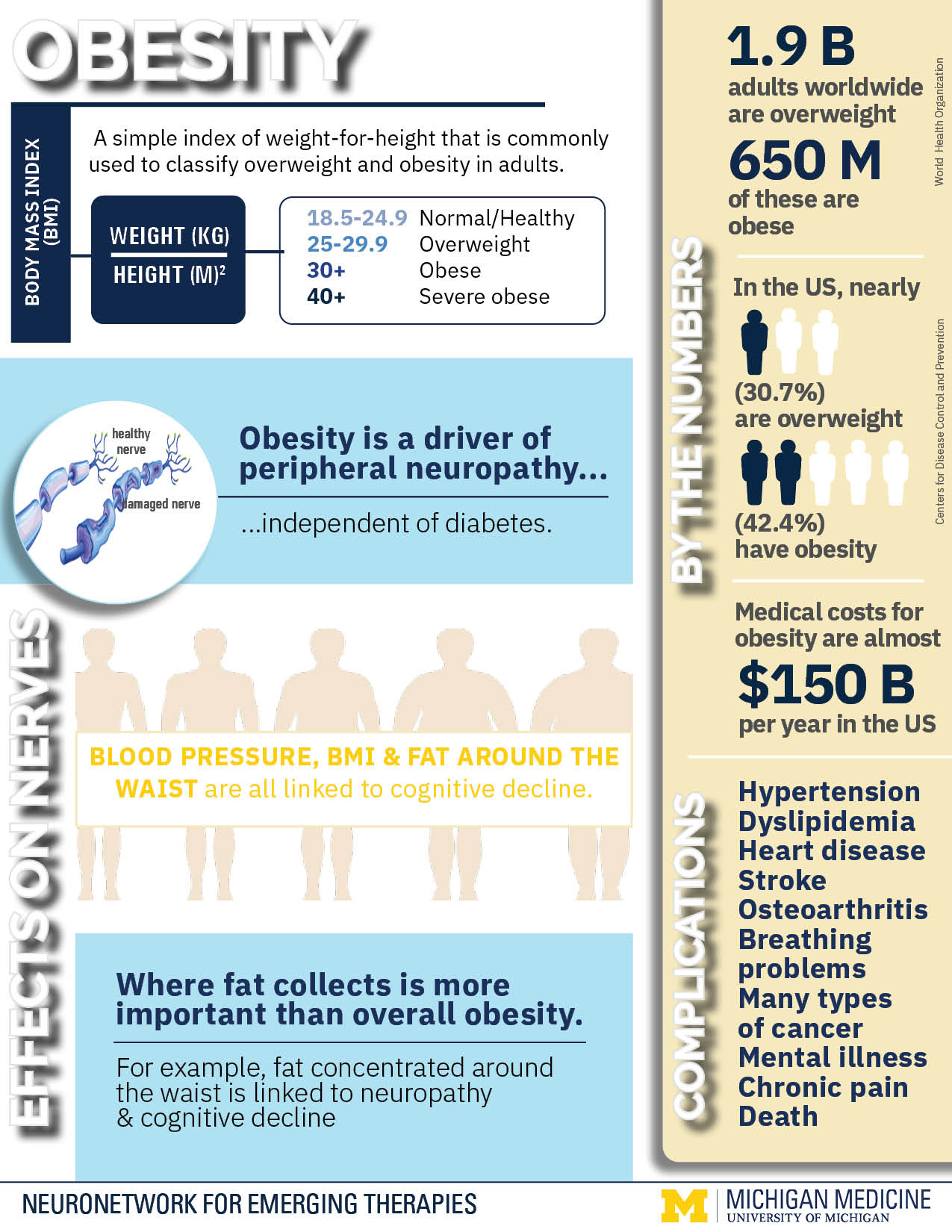 NeuroNetwork for Emerging Therapies obesity infographic