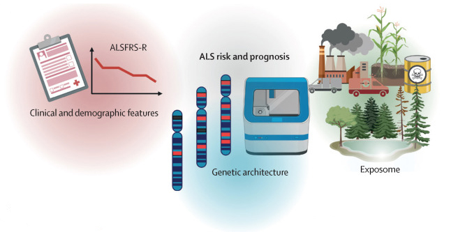 Figure 4 C from Dr. Eva Feldman's ALS seminar in The Lancet that showsSchematic overview of factors that affect amyotrophic lateral sclerosis risk (onset) and prognosis
