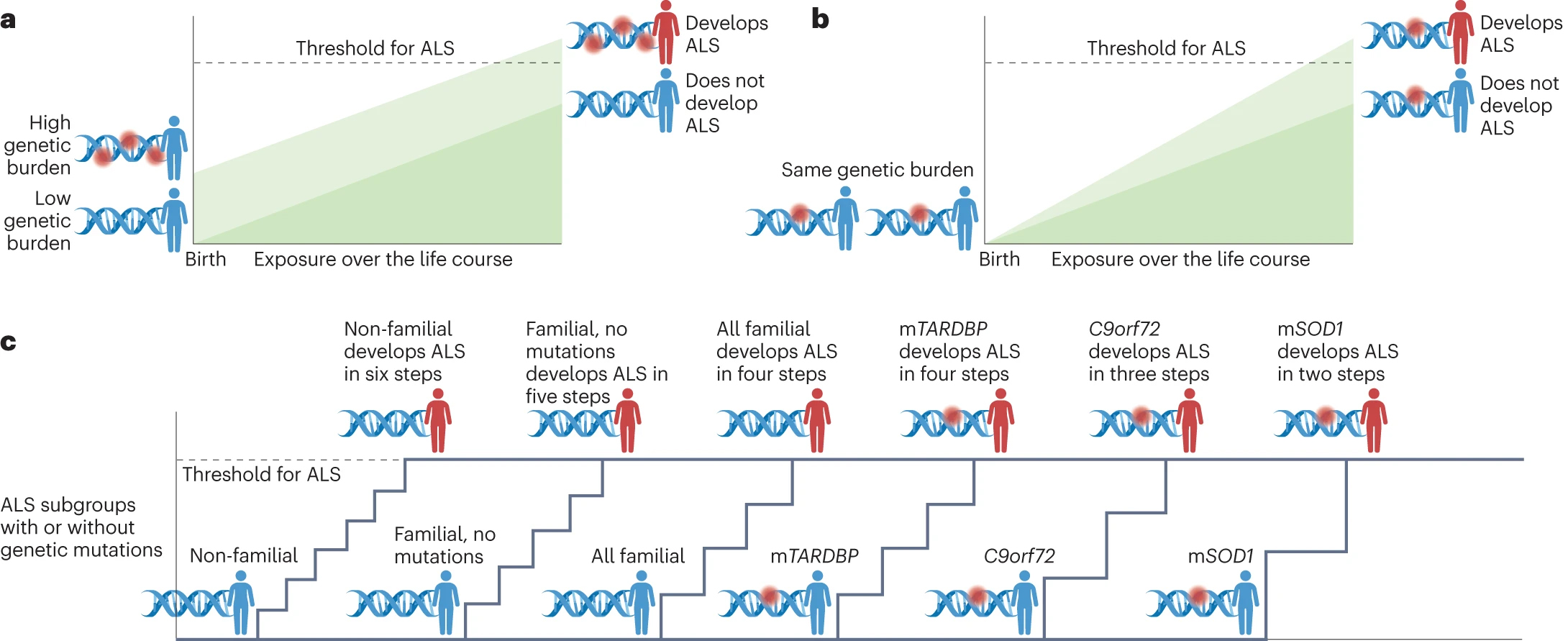 Figure 2 from Nature Reviews Neurology "The amyotrophic lateral sclerosis exposome: recent advances and future directions"