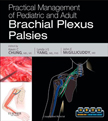 Practical Management of Adult and Pediatric Brachial Plexus Palsy