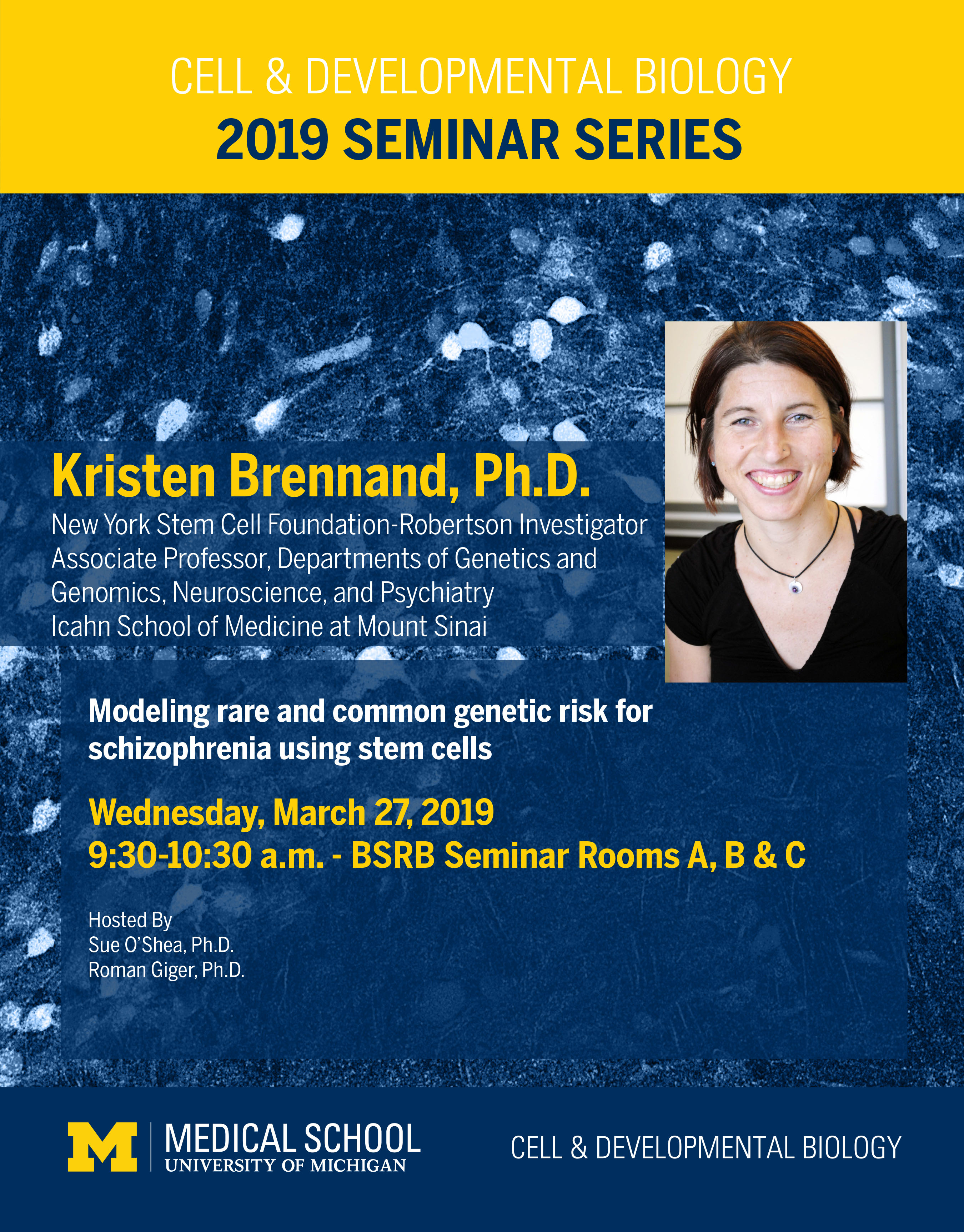 Brennand Seminar 2019