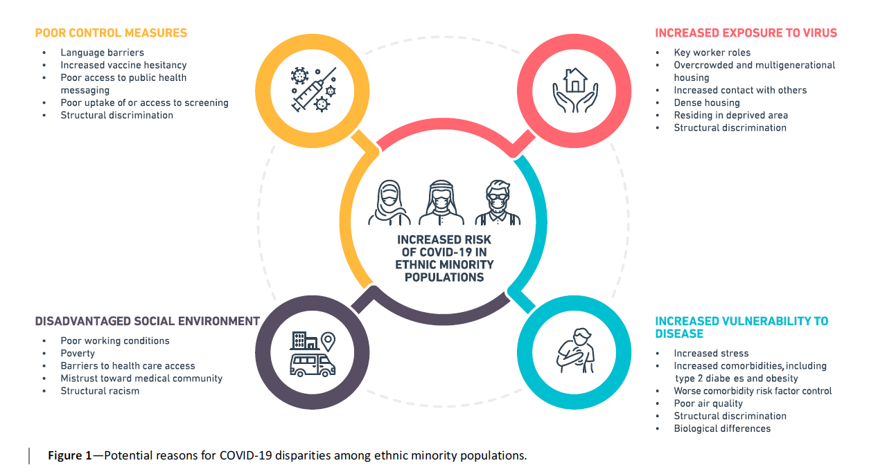 Figure 1 from an article in Diabetes Care entitled The Impact of the COVID-19 Pandemic on Ethnic Minority Groups With Diabetes