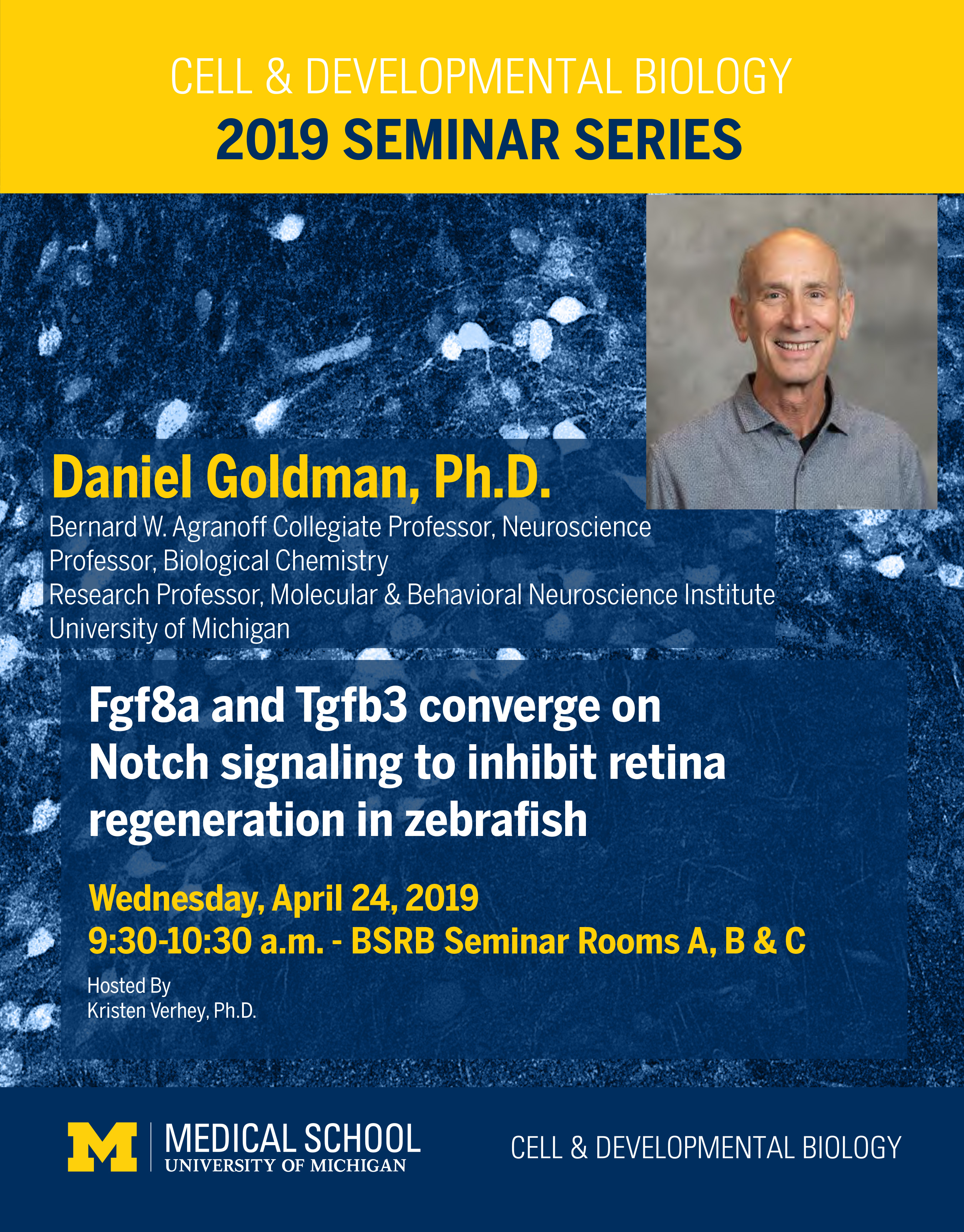 Goldman 2019 Seminar