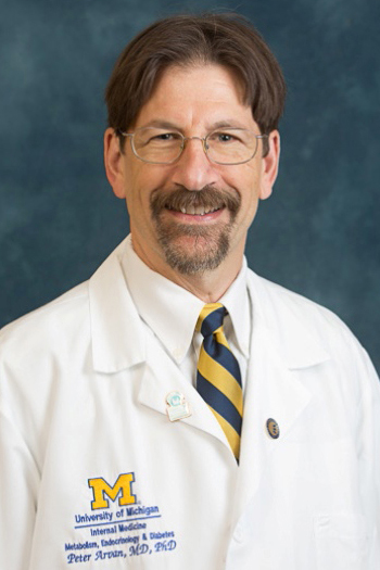 Peter Arvan, MD, PhD