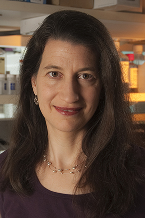 Julie Segre, Ph.D.