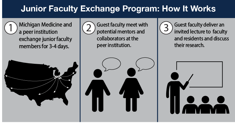 The Junior Faculty Exchange Program: How It Works