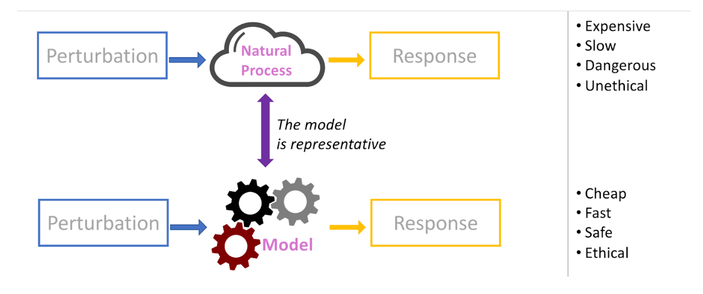 Schematic representation showing the benefits of modeling of observing a natural process: it's cheaper, faster, safer and more ethical.