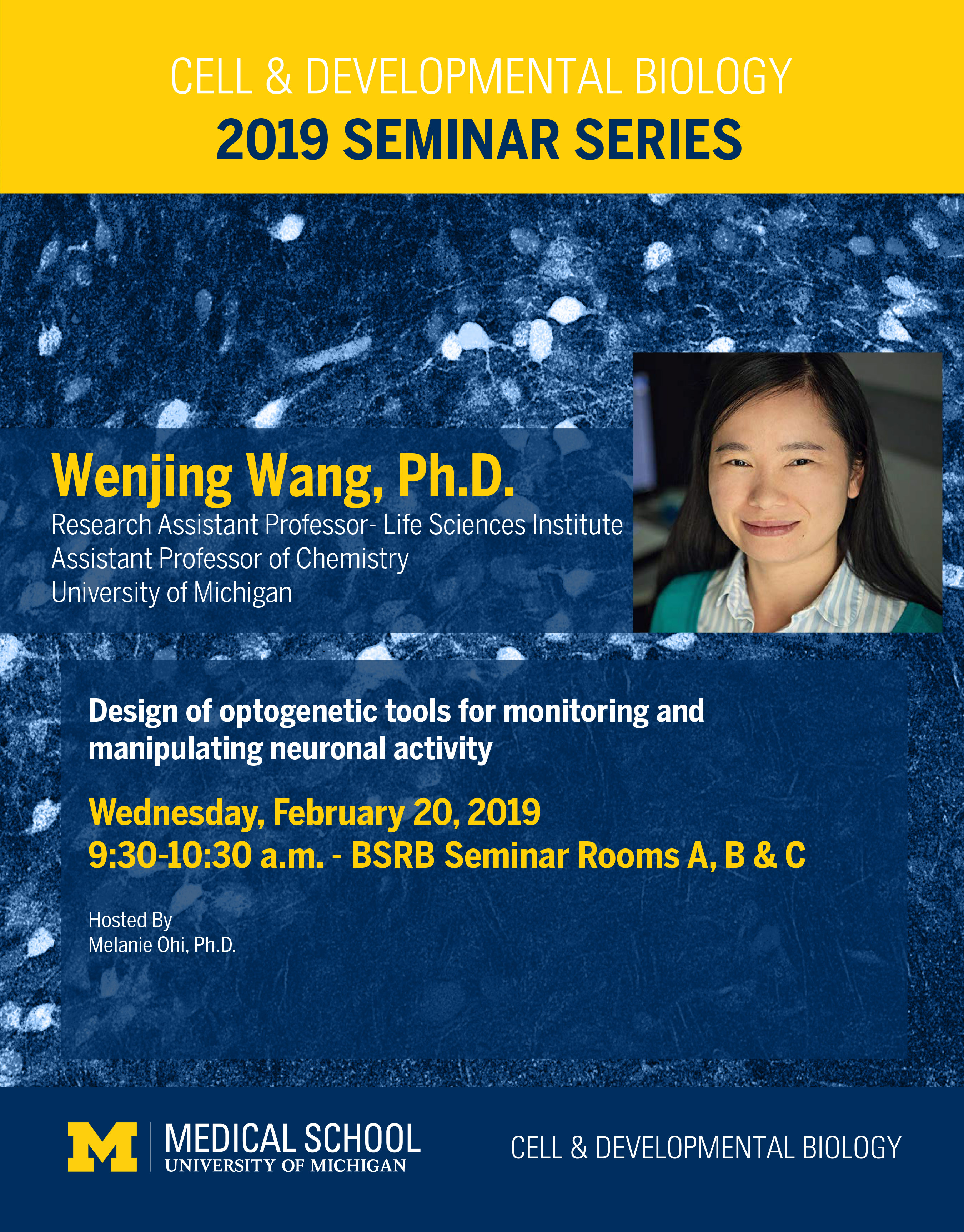 Wang 2019 Seminar