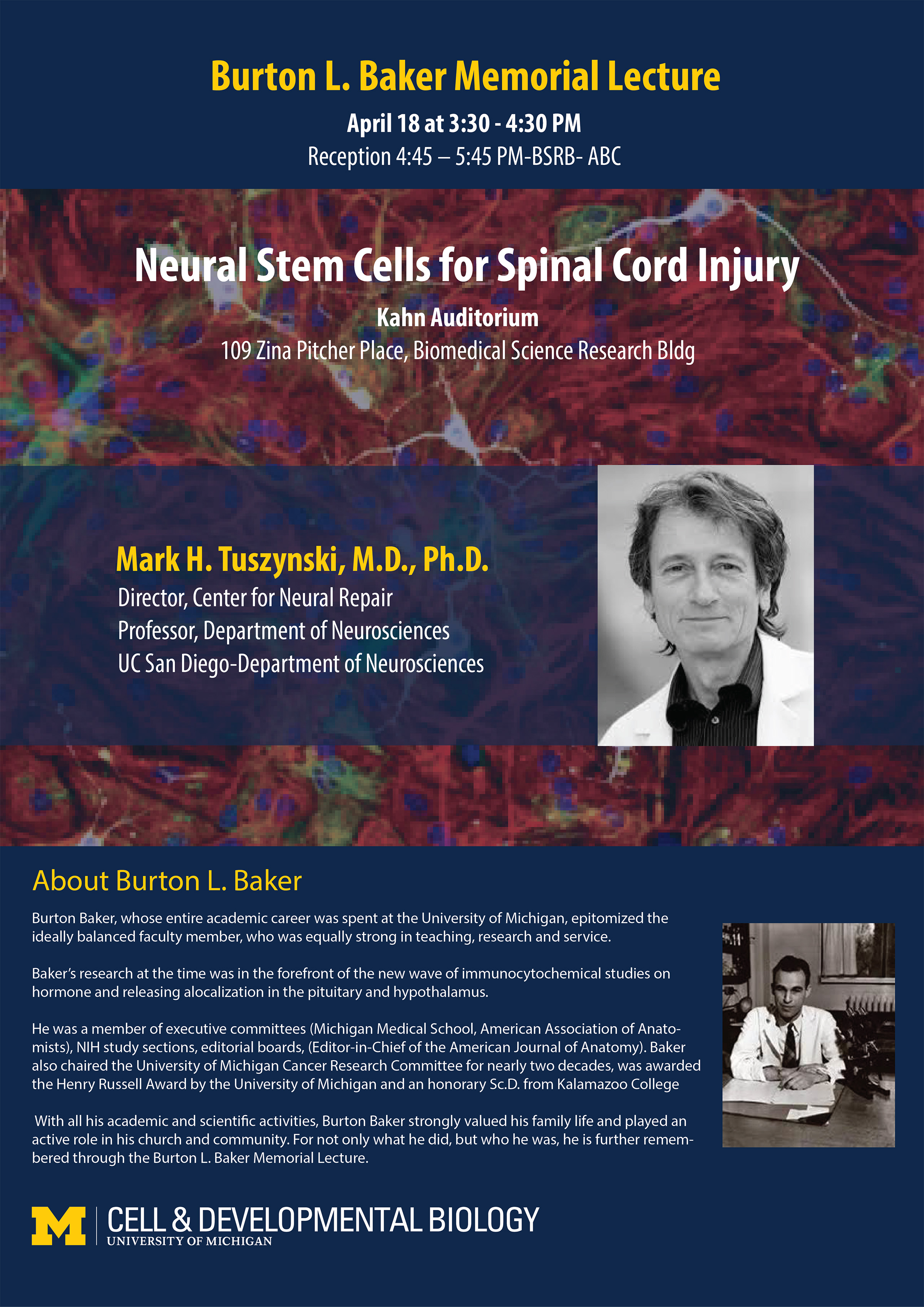 Neural Stem Cells for Spinal Cord Injury
