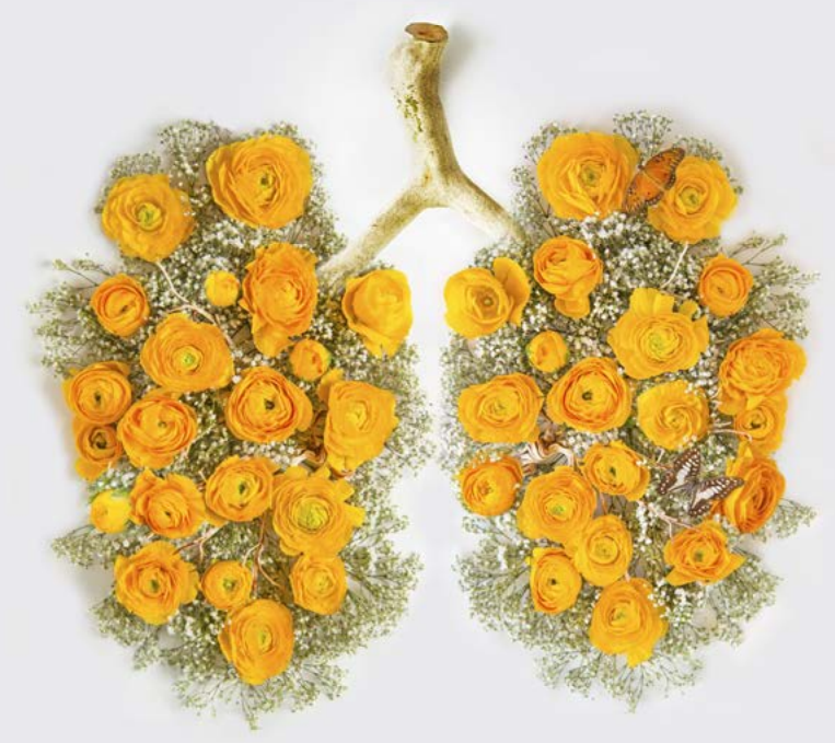 Graphic showing lungs made out of flowers