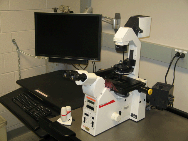 Leica DM IRE2 Inverted Microscope