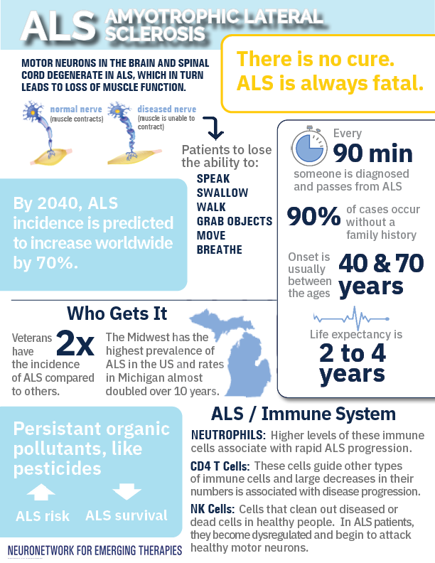 infographic on ALS from the NeuroNetwork for Emerging Therapies