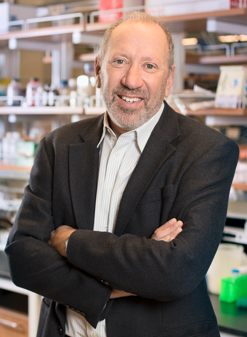 Richard Gallo, MD, PhD