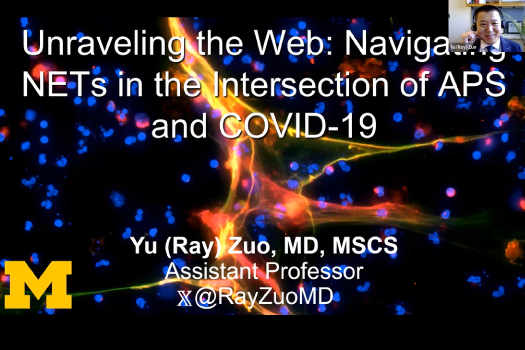 Unraveling the Web: Navigating NETs in the Intersection of APS and COVID-19