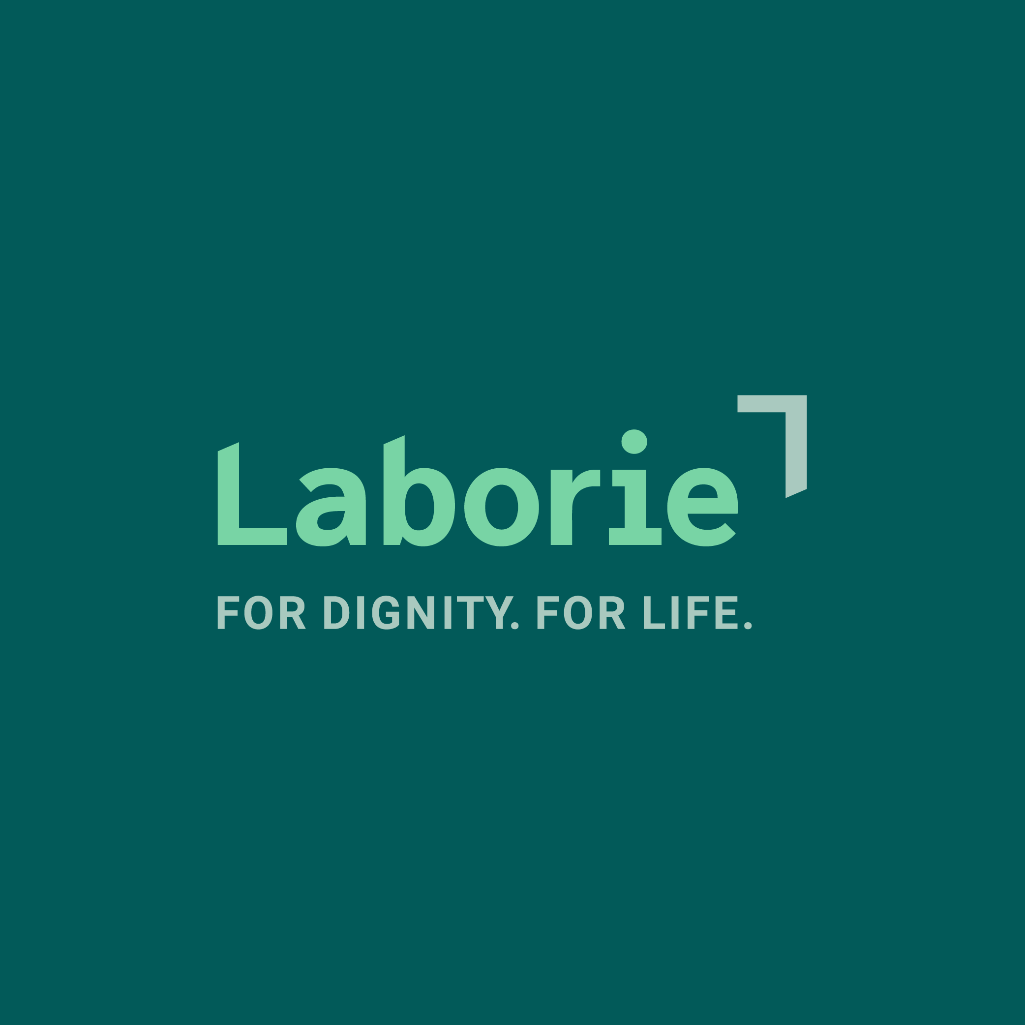 Logo for Laborie