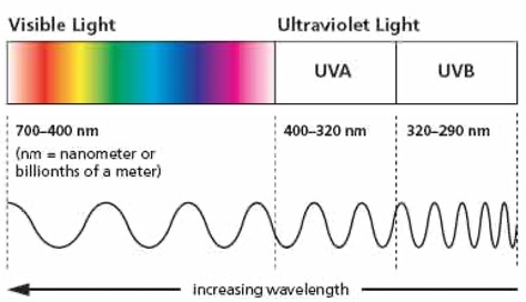 diagram of visible light versus ultraviolet light 