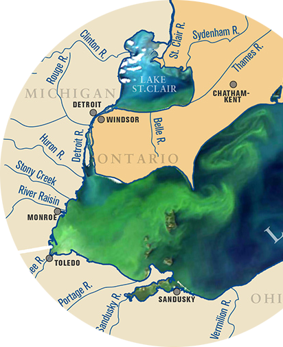 Harmful algal blooms in Lake Erie and Lake St. Claire: Figure obtained from Michigan Sea Grant.