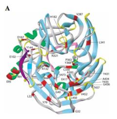 Structural bioinformatics: Ab initio tertiary structure