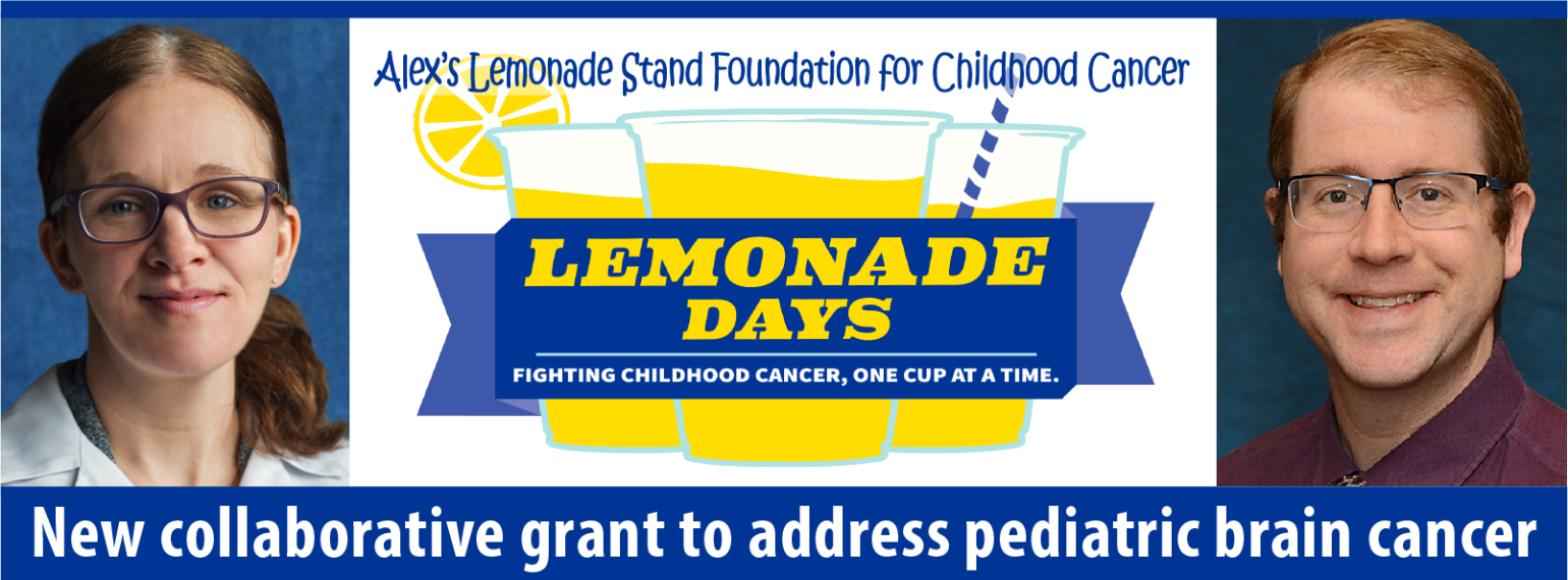 Alex's lemonade stand foundation
