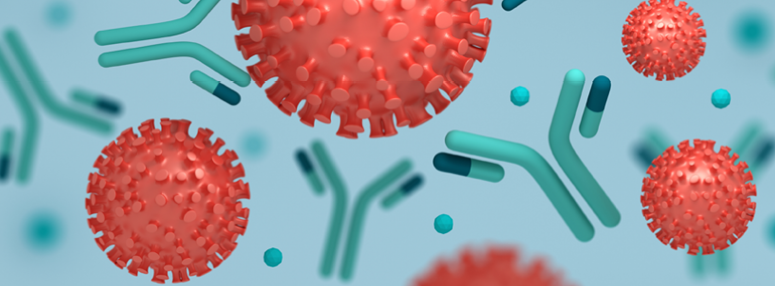 COVID-19 Antibodies Persist, Reduce Reinfection Risk for Up to Six Months