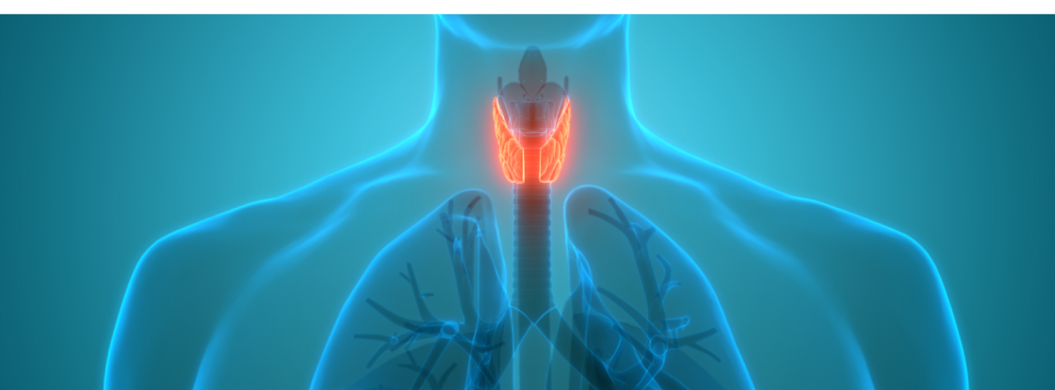 Keeping Thyroid Hormone Treatment on Target Is Key for the Heart