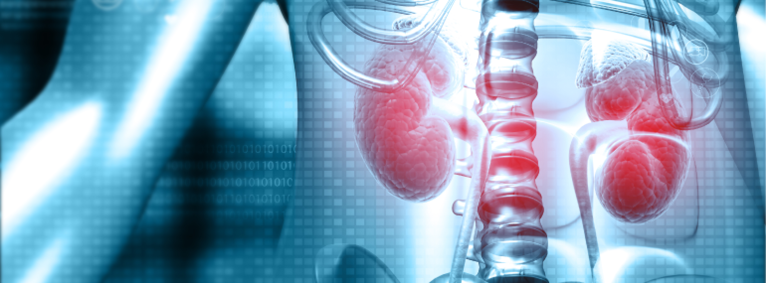 Precision medicine helps identify “at-risk rapid decliners” in early-stage kidney disease