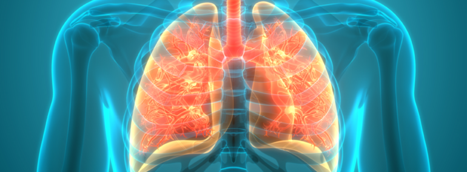 Stem Cells and Their Role in Lung Transplant Rejection