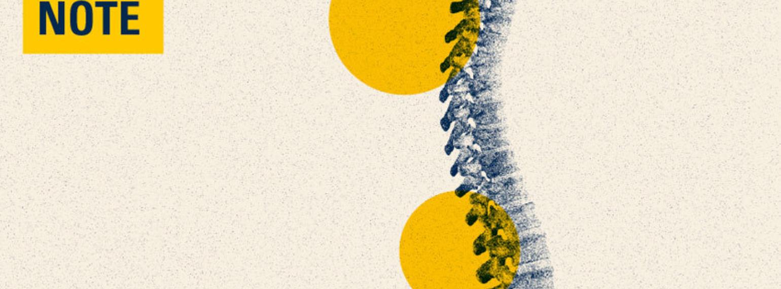 Illustration of a dark blue spinal cord on a pale yellow background. The Lab Notes logo is in the upper left corner.  