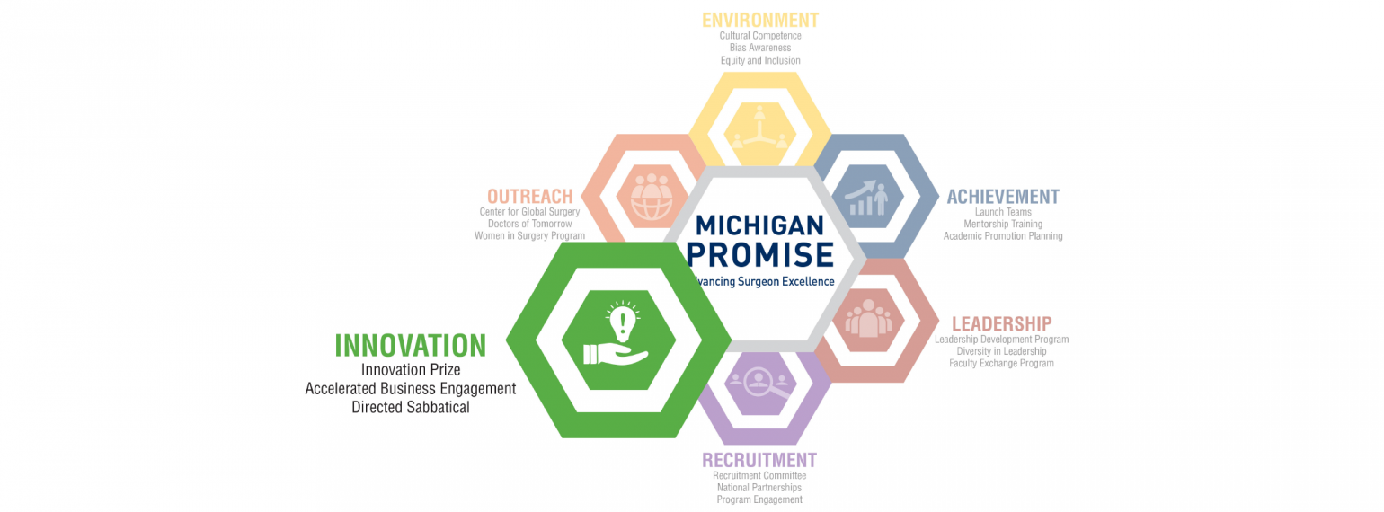 Michigan Promise Logo Innovation Highlight