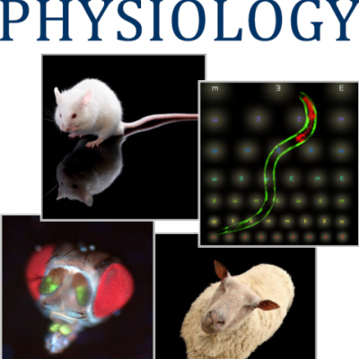 Newsletters | Molecular & Integrative Physiology | Michigan Medicine ...