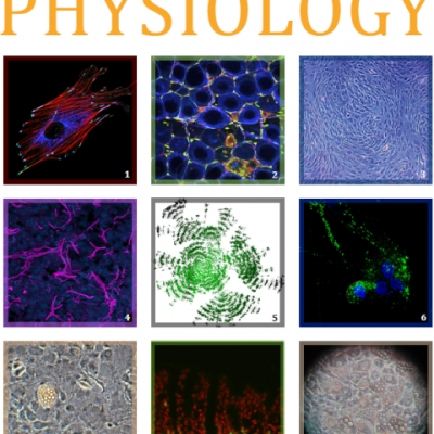 Newsletters | Molecular & Integrative Physiology | Michigan Medicine ...