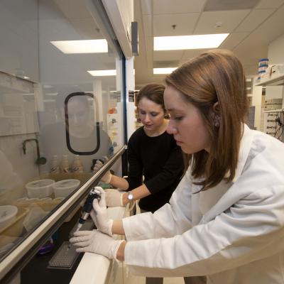 Lab personnel working in the lab