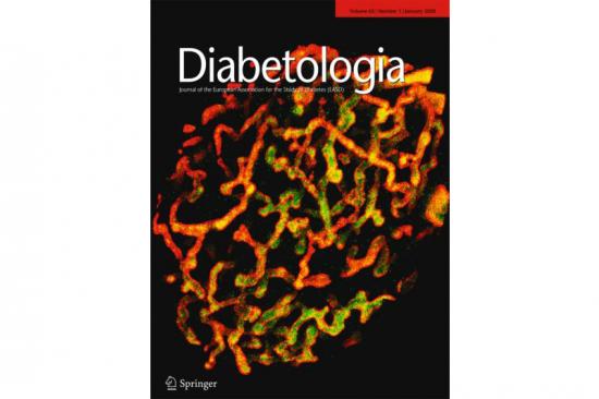 Diabetologia cover Janurary 2020