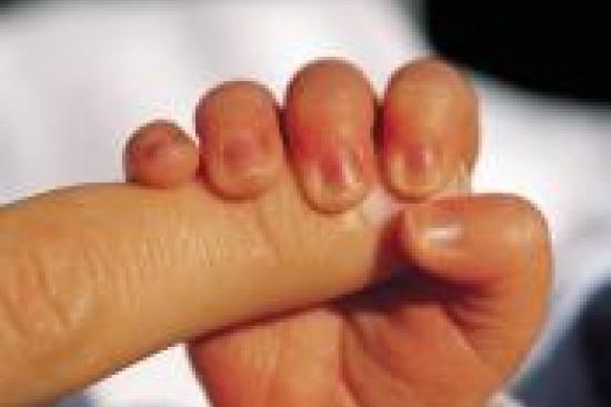 Baby's hand grasping an adult's finger