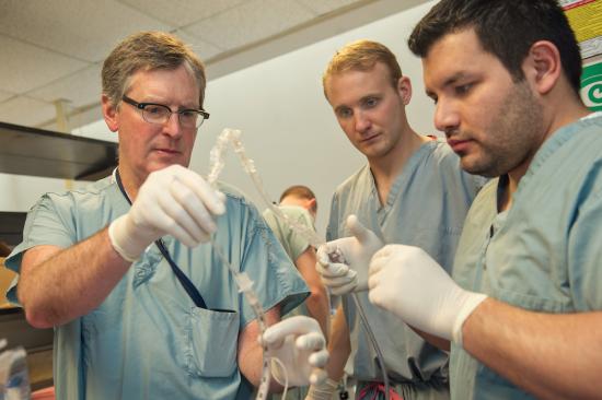Dr. Lynch, Dr. Rojas Pena, and trainee working with ECLS