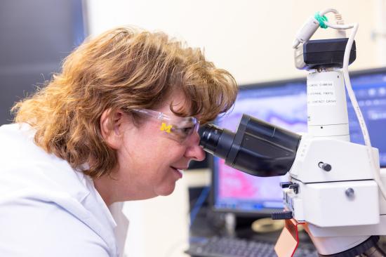 Lab member working with a microscope in the Conrad Jobst Vascular Research Laboratories