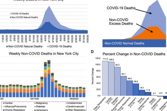 Journal of Neurology COVID-19 in New York City graphic