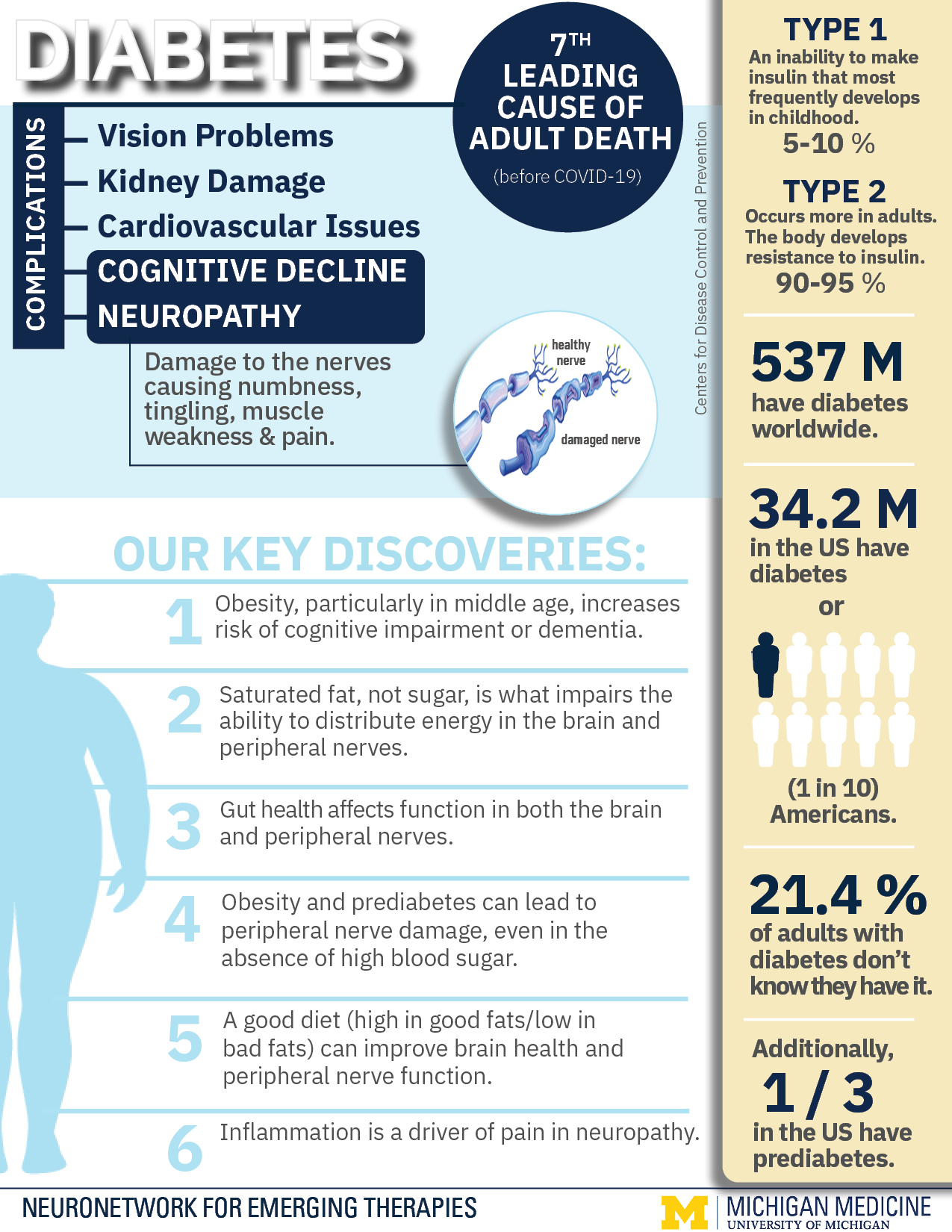 NeuroNetwork for Emerging Therapies Diabetes Infographic
