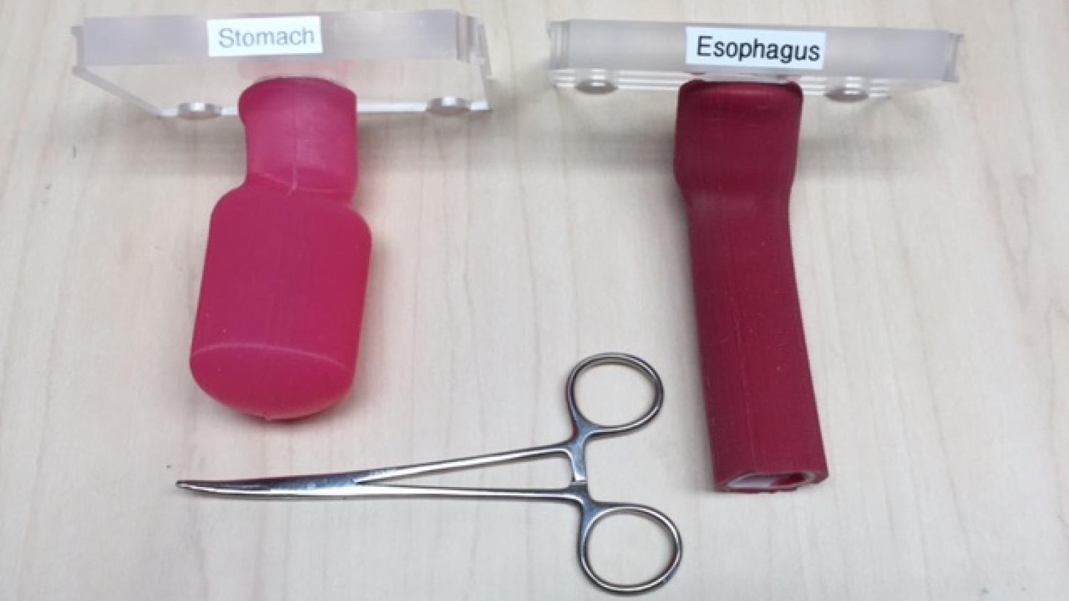 Cervical Esophagogastric Anastomosis Surgical Simulation Education