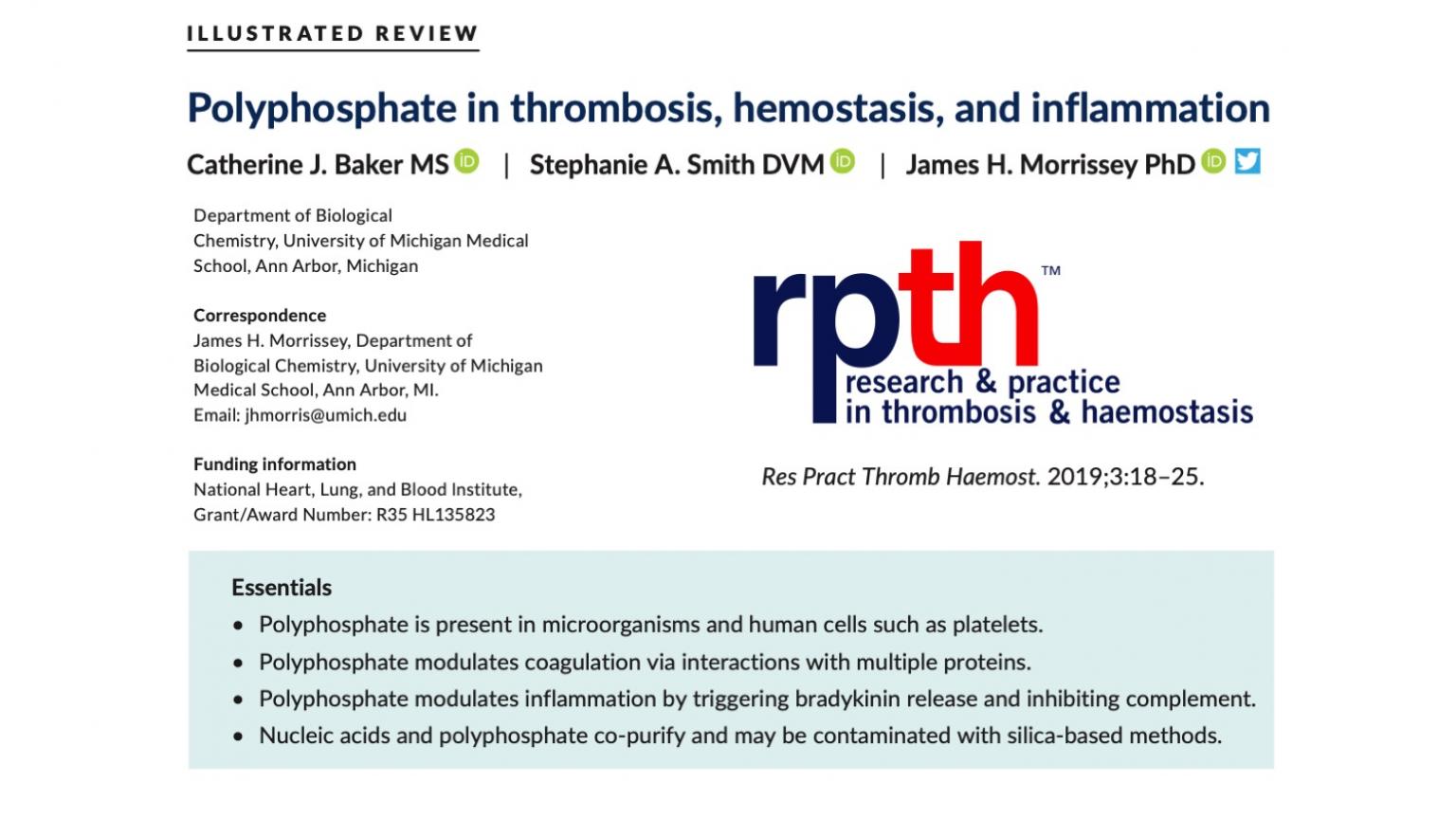 Polyphosphate in thrombosis, hemostasis, and inflammation