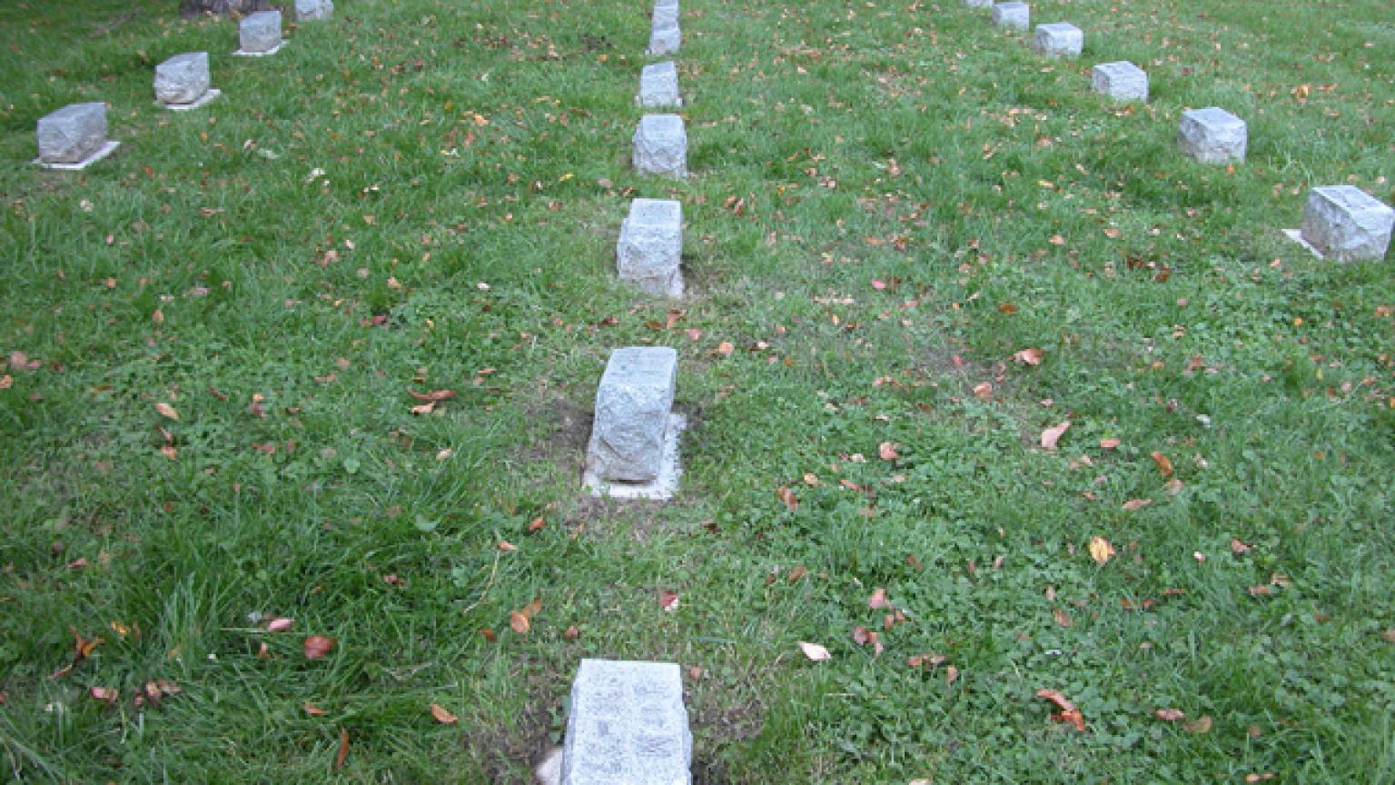 Fairview Cemetery gravestones