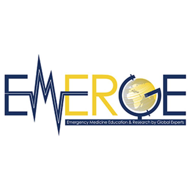 EMERGE network logo