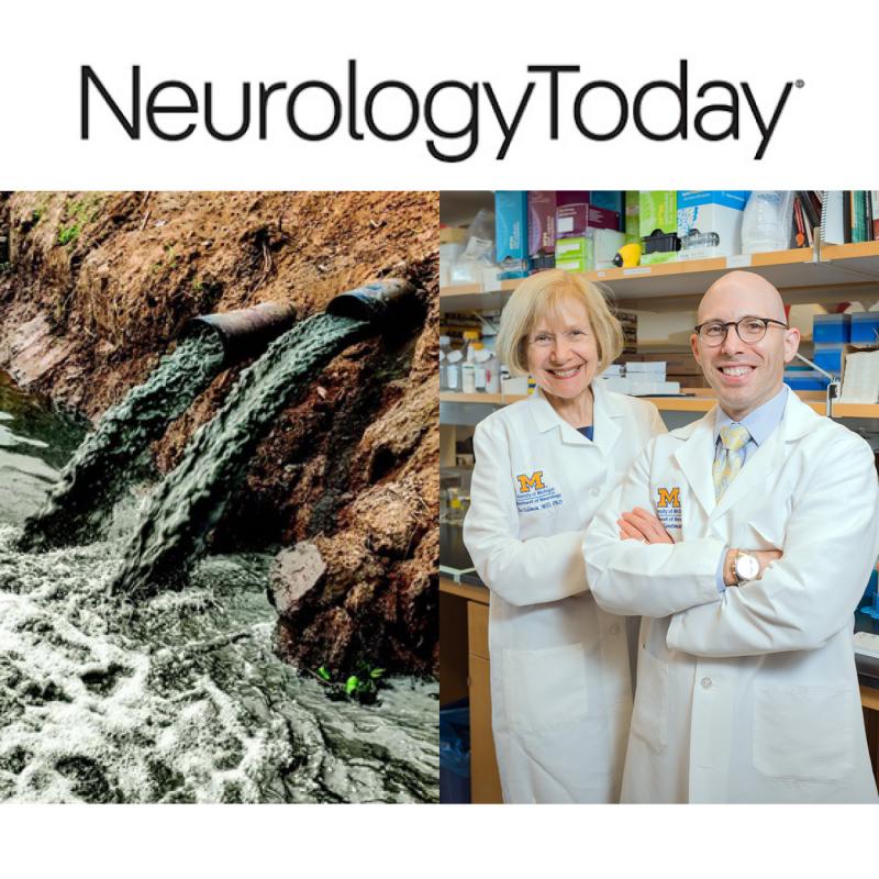 graphic that links to a Neurology Today article that highlights Dr. Eva Feldman & Dr. Stephen Goutmans Environmental Statement on ALS in JAMA