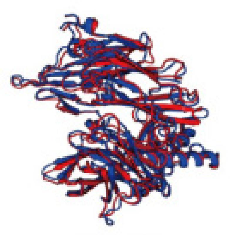 Folded protein model for T1169-D4