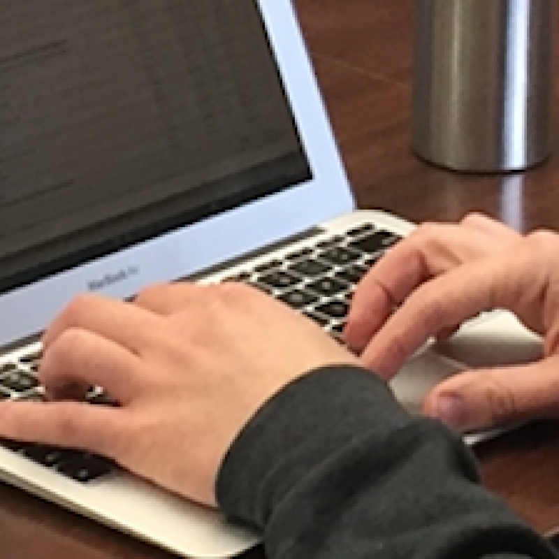 HILS-Online Hands Typing