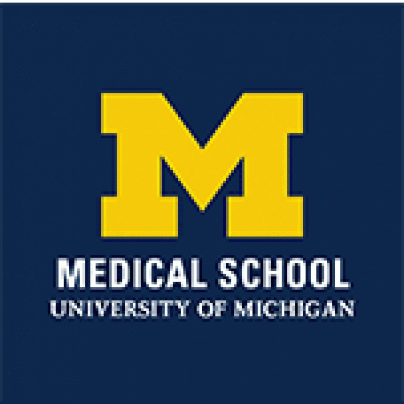 Maize Block M on a blue background. The words "Medical School University of Michigan" appear below the M. 