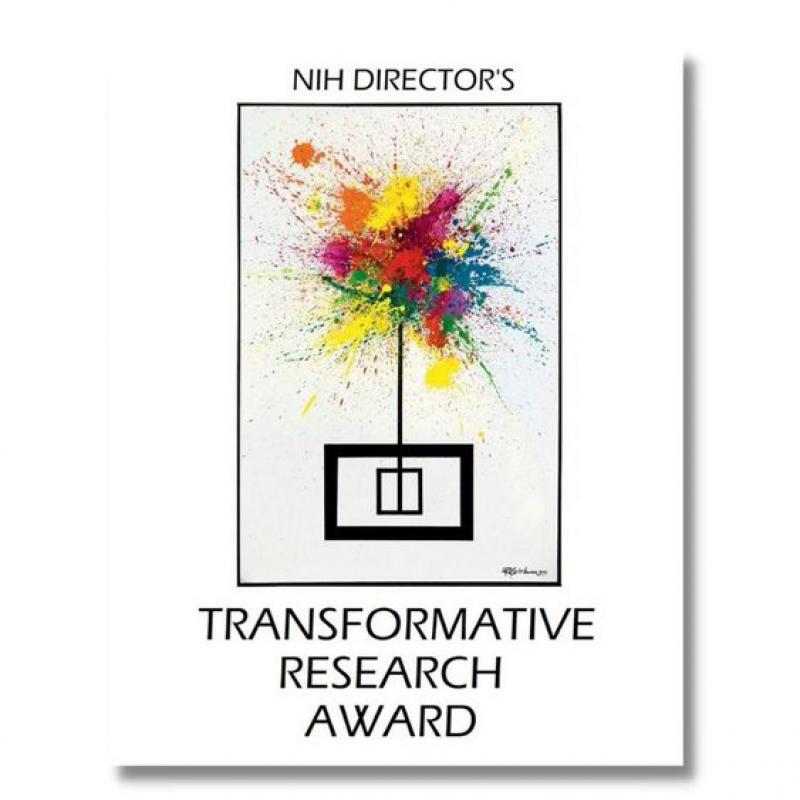 NIH Director's Transformative Research Award logo
