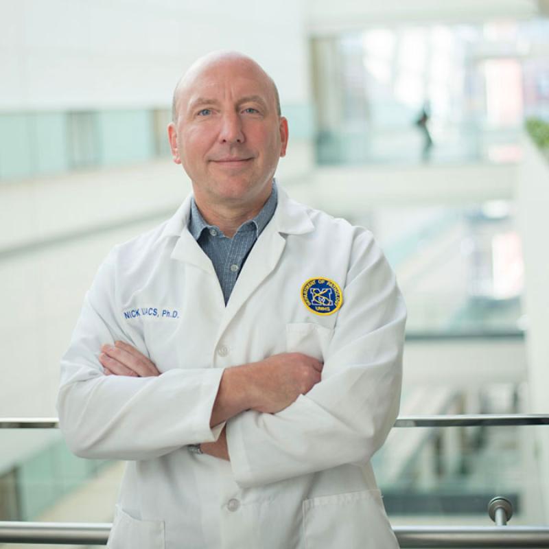 Nicholas Lukacs, Ph.D., scientific director of the Weiser Food Allergy Center