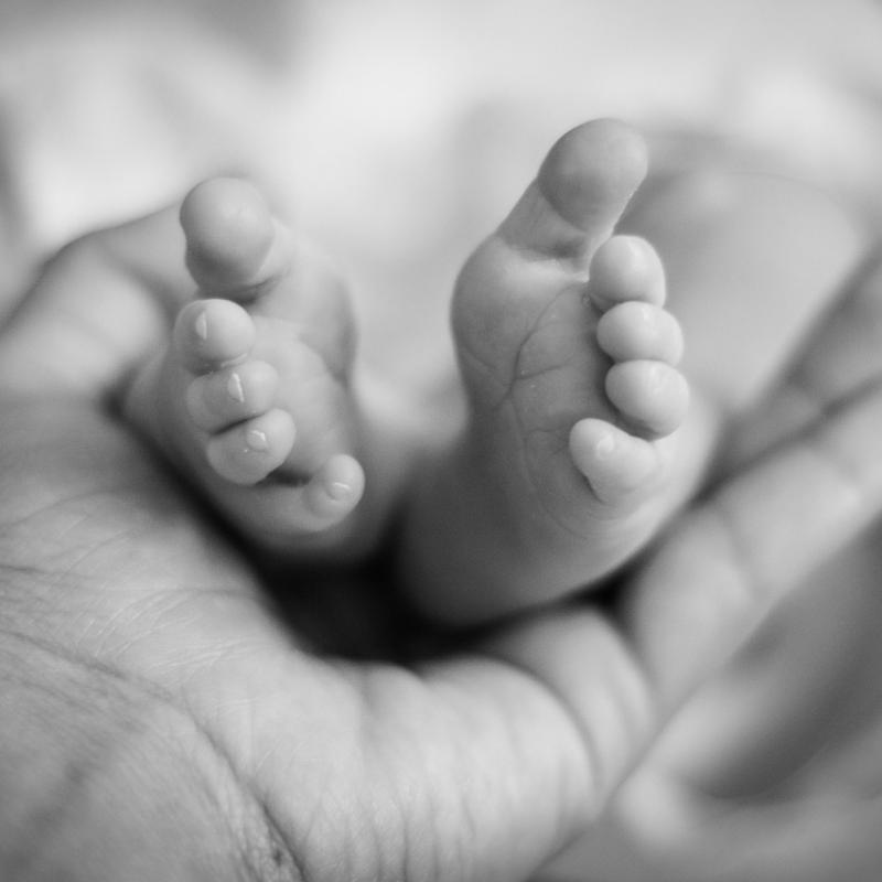 image of infant's feet held by adult